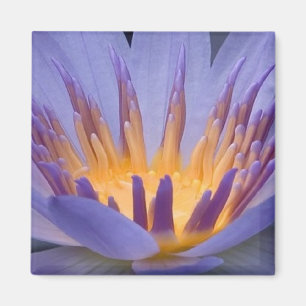 Purple and Gold Flower - Magnet