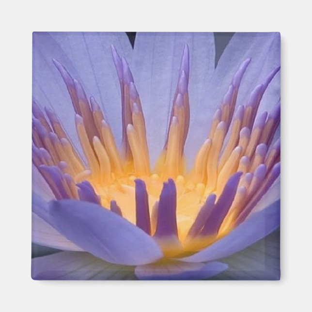 Purple and Gold Flower - Magnet (Front)