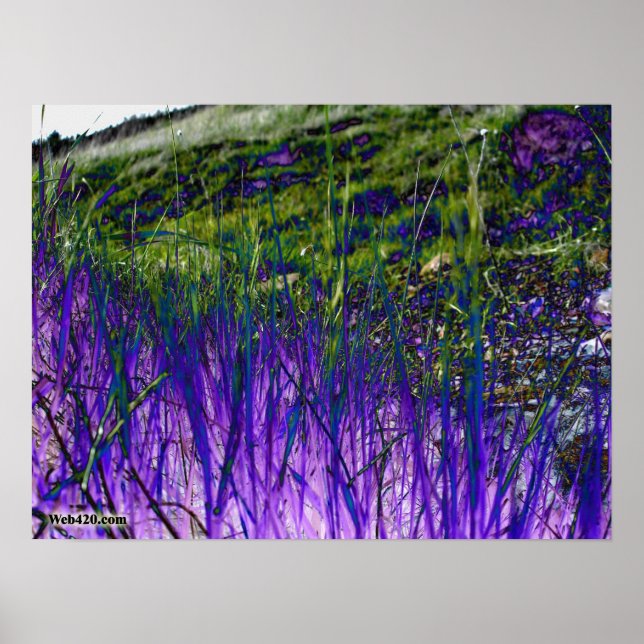 purple and green grass poster (Front)