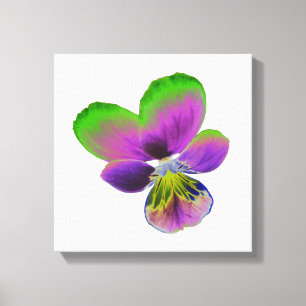 Purple and Green Pansy Canvas Print