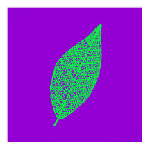 Purple and Green Skeleton Leaf line art