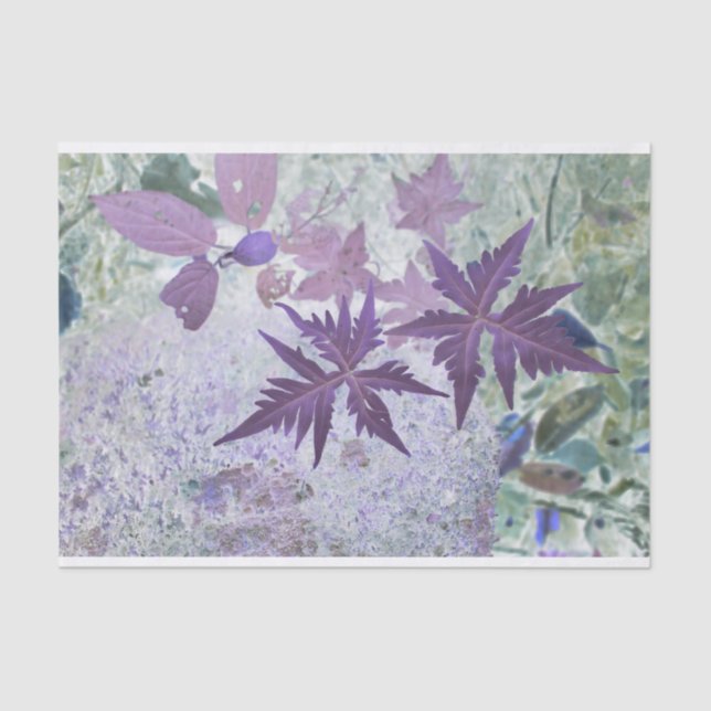 Purple and heather pastel shade  tissue paper (Front)