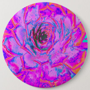 Purple and Magenta Succulent Sedum Rosette 6 Cm Round Badge
