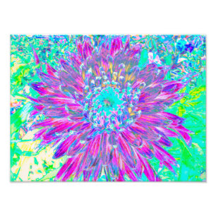 Purple and Robin's Egg Blue Decorative Dahlia Photo Print