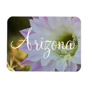 Purple and White Cactus Flower, Arizona Magnet