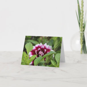 Purple and White Dahlia Holiday Card