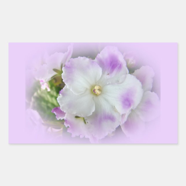 Purple and White Fancy African Violets Rectangular Sticker (Front)