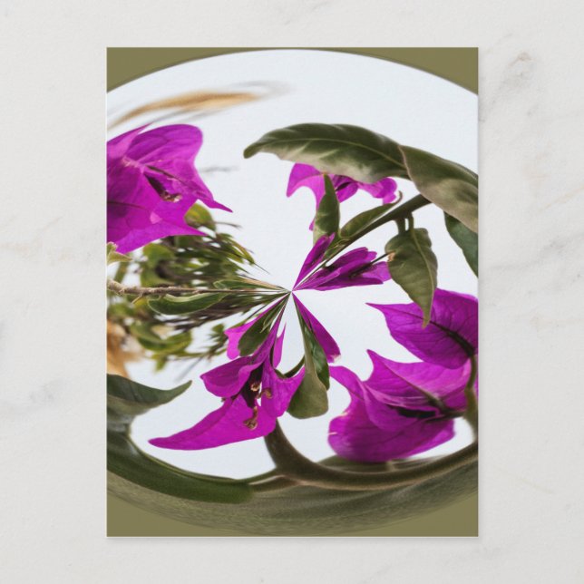 Purple and White Flower Orb Postcard (Front)