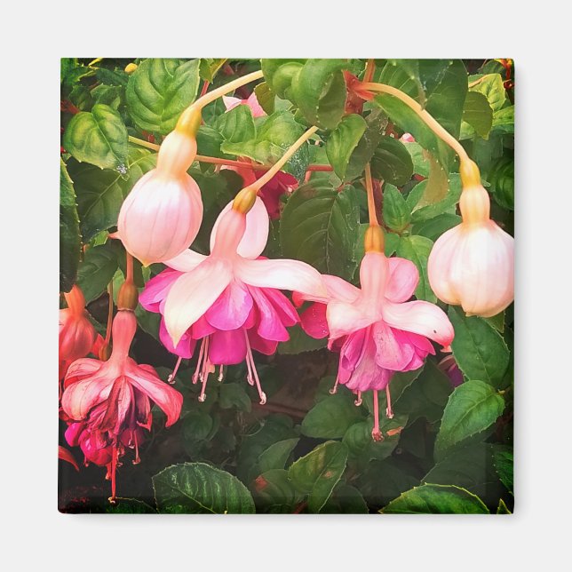 Purple and white flowers magnet (Front)