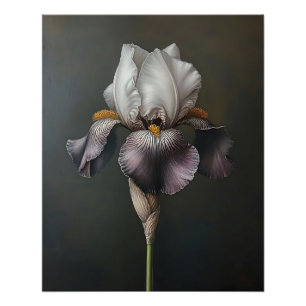 Purple and White Iris Botanical Painting Poster