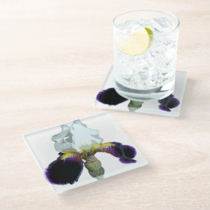 Purple and White Iris Glass Coasters