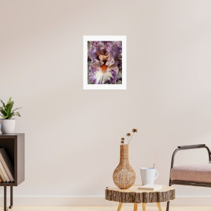 Purple and White Iris with Orange Beard Floral Poster