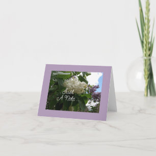  Purple And White Lilac  Folded Greeting Card