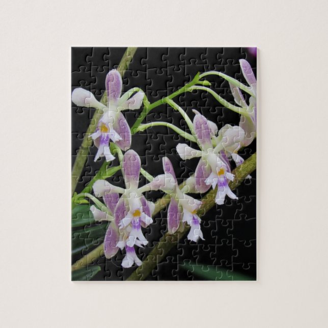 Purple and White Orchids Jigsaw Puzzle (Vertical)