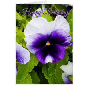Purple And White Pansies, Birthday Card