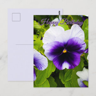 Purple And White Pansies, Birthday Postcard