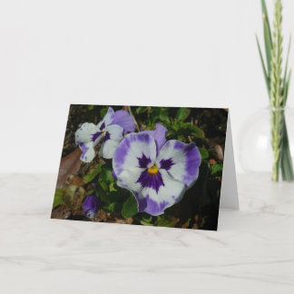 Purple and White Pansies Colourful Floral Card