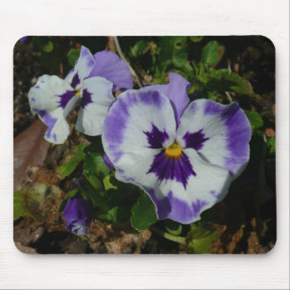 Purple and White Pansies Colourful Floral Mouse Pad