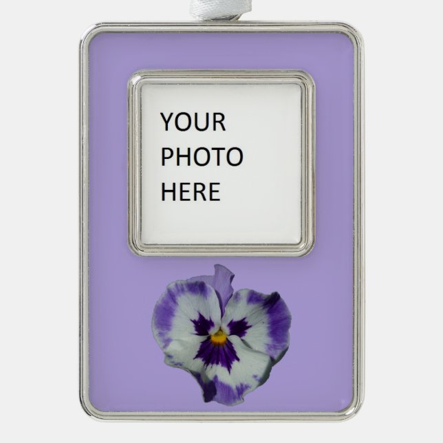 Purple and White Pansies Colourful Floral Silver Plated Framed Ornament (Front)