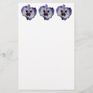 Purple and White Pansies Colourful Floral Stationery
