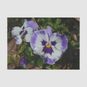 Purple and White Pansies Colourful Floral Tissue Paper