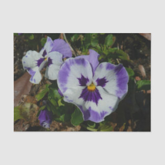 Purple and White Pansies Colourful Floral Tissue Paper