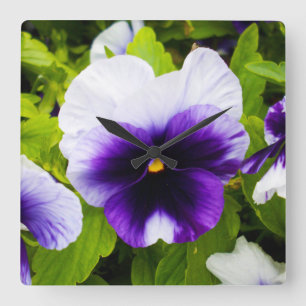 Purple And White Pansies, Square Wall Clock