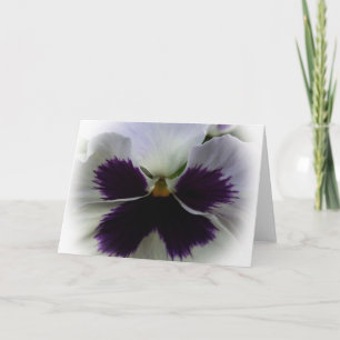 Purple and white pansy card