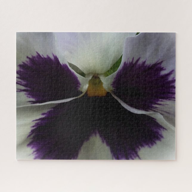 Purple and white pansy jigsaw puzzle (Horizontal)