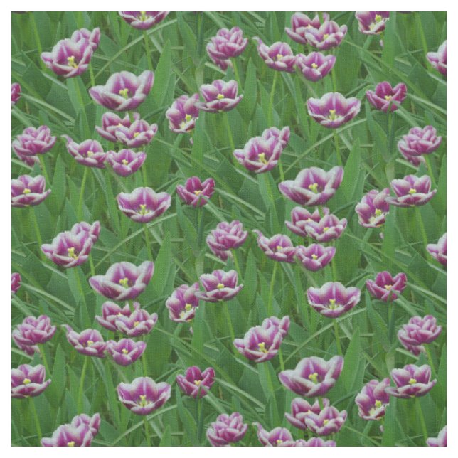 Purple and White Tulips Fabric (Swatch)