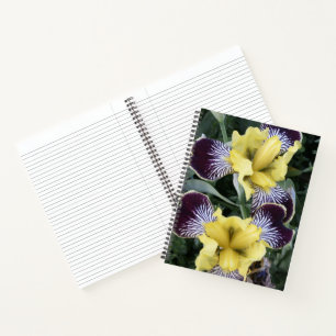Purple and Yellow Beardless Irises Floral Notebook