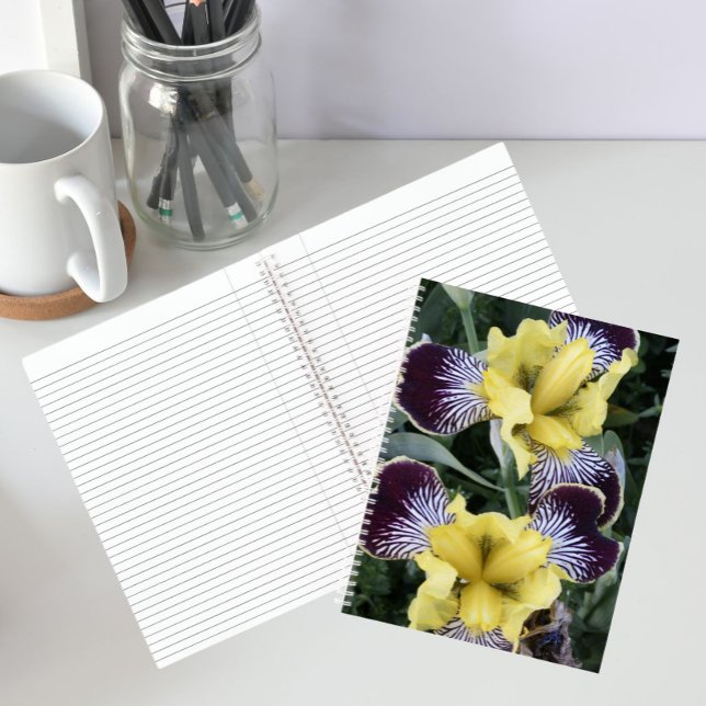 Purple and Yellow Beardless Irises Floral Notebook (In Situ)