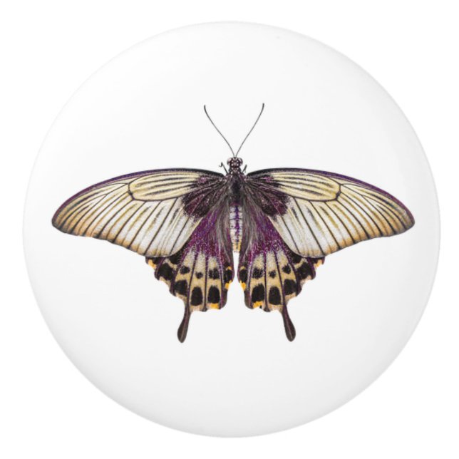 Purple and Yellow Butterfly With Long Hind Wings Ceramic Knob (Front)