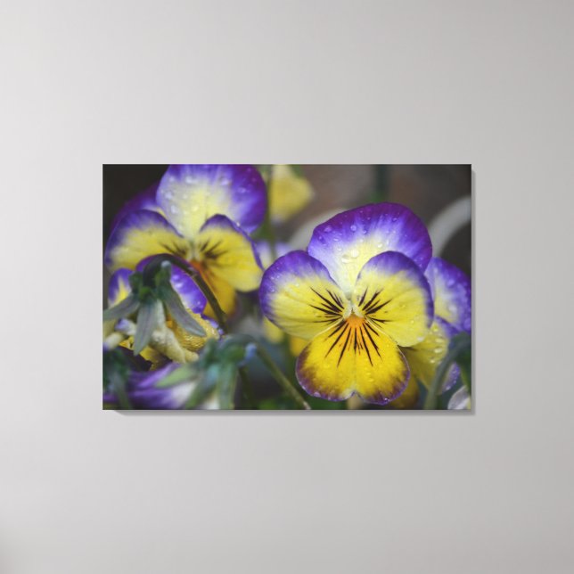 Purple and Yellow Flower Quad Wrapped Canvas (Front)