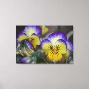 Purple and Yellow Flower Quad Wrapped Canvas