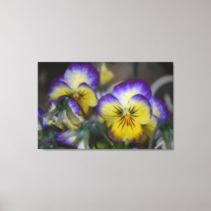 Purple and Yellow Flower Wrapped Canvas