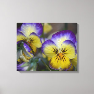 Purple and Yellow Flower Wrapped Canvas