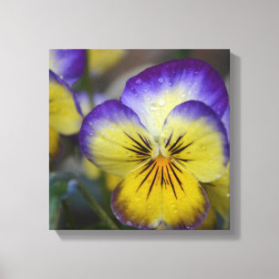 Purple and Yellow Flower Wrapped Canvas