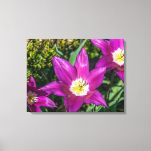 Purple and yellow flowers canvas print
