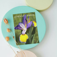 Purple and Yellow Iris Floral Congratulations