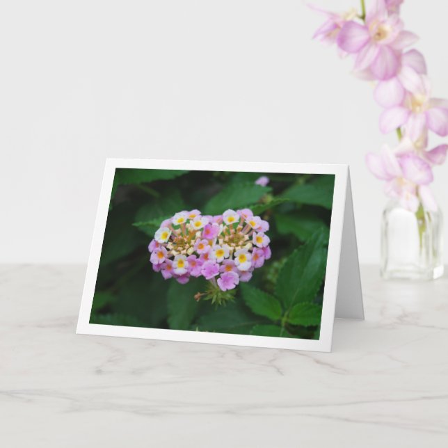 Purple and Yellow Lantana Flowers Card (Orchid)