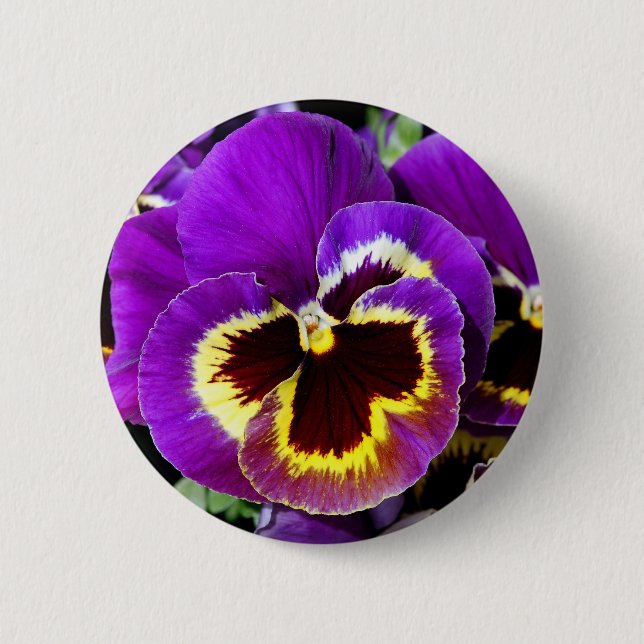 Purple and yellow pansy flower 6 cm round badge (Front)