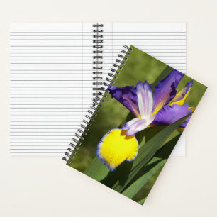 Purple and Yellow Siberian Iris Floral Notebook