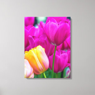 Purple and yellow tulips up close canvas print