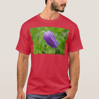 Purple Anemone coronaria growing in their natural  T-Shirt