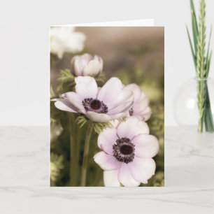 Purple Anemones Note Card
