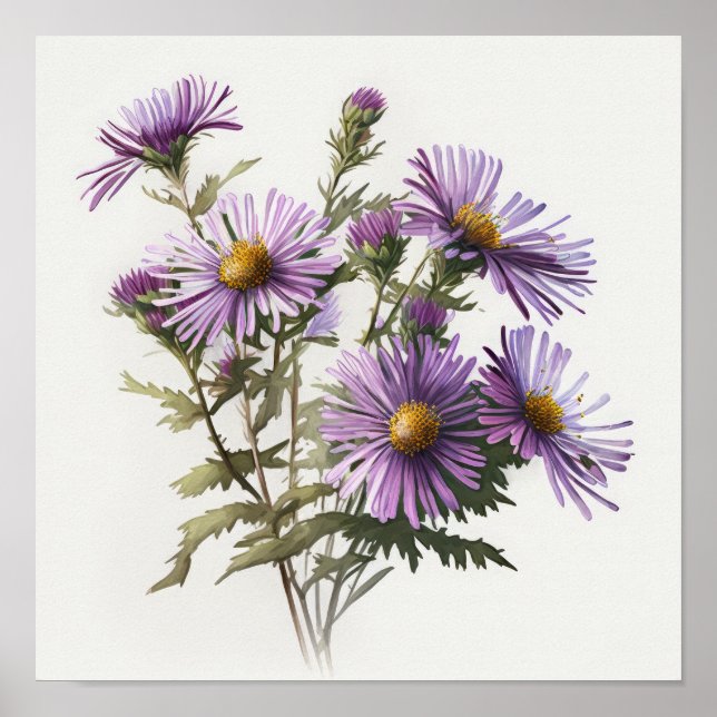 Purple Aster Flower Art Print Poster (Front)