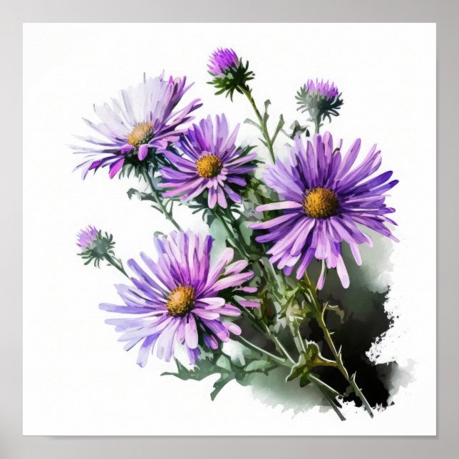 Purple Aster Flower Art Print Poster (Front)