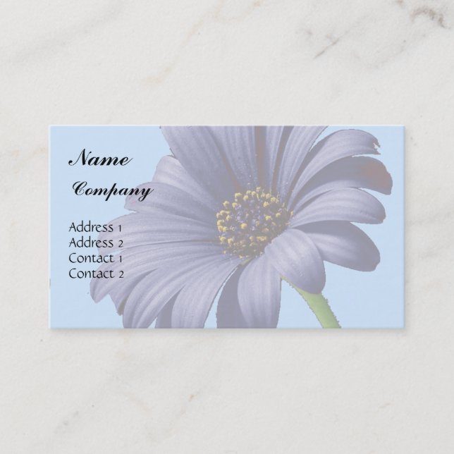 Purple Aster Flower Business Card (Front)