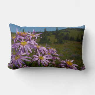 Purple Aster Flowers at Mount Rainier Lumbar Cushion